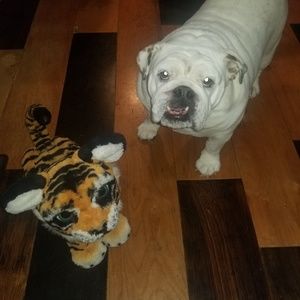 Meet your Posher, Lori